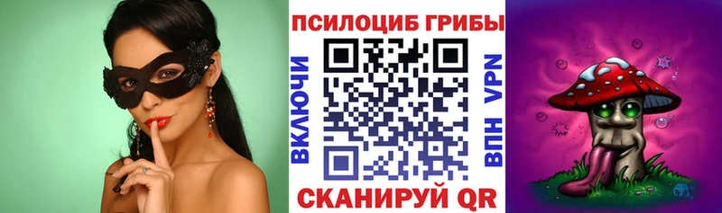 Галлюциногенные грибы прущие грибы  магазин продажи наркотиков  Чудово 